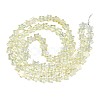 Electroplate Glass Beads Strand X-EGLA-S188-17-B03-2