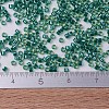MIYUKI Delica Beads SEED-J020-DB0919-4