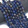 Natural Sodalite Beads Strands G-K389-D10-01-2