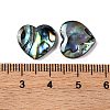 Natural Paua Shell Epoxy Resin Cabochons SSHEL-S279-01D-3