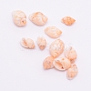 Natural Conch Shell Beads SSHEL-WH0001-33-1