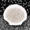 6/0 Baking Paint Transparent Glass Seed Beads SEED-N006-06A-3