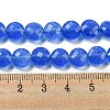 Natural Blue Agate Beads Strands G-NH0015-A01-01-5