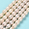Natural Cultured Freshwater Pearl Beads Strands PEAR-E016-070-2