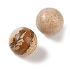 Natural Picture Jasper No Hole Sphere Beads G-K353-04B-15-2