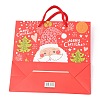 Christmas Themed Paper Bags CARB-P006-01A-04-2