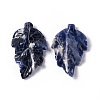 Natural Sodalite Pendants G-I336-01-15-1