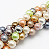 Grade AB Round Shell Pearl Colorful Beads Strands X-BSHE-S605-6mm-M-2
