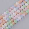 Faceted Glass Beads Strands X-GLAA-G074-B05-1