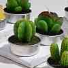 Cactus Paraffin Smokeless Candles DIY-G024-D-2