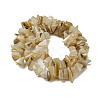 Natural Yellow Shell Beads Strands SSHEL-H072-05-2