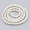 Natural Cultured Freshwater Pearl Beads Strands PEAR-S012-76B-2