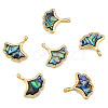 Synthetic Abalone Shell/Paua Shell Charms with Real 18K Gold Plated Brass Findings KK-N233-428-2