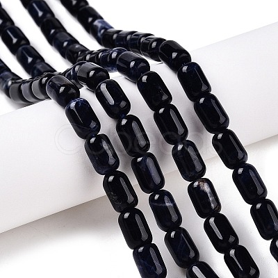 Natural Sodalite Beads Strands G-G980-37A-1