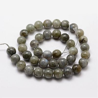 Natural Labradorite Bead Strands G-O155-05B-10mm-1