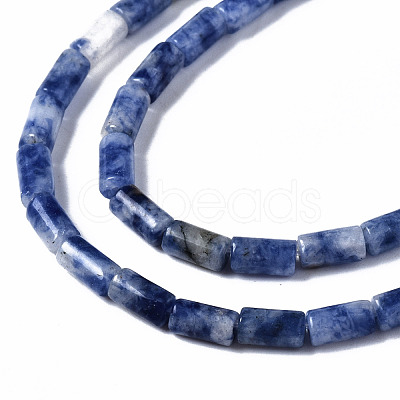 Natural Blue Spot Jasper Beads Strands G-S366-078-1