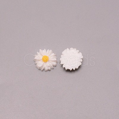 Opaque Resin Cabochons RESI-CJC0011-04A-02-1