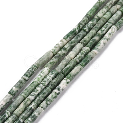 Natural Green Spot Jasper Beads Strands G-D464-14-1