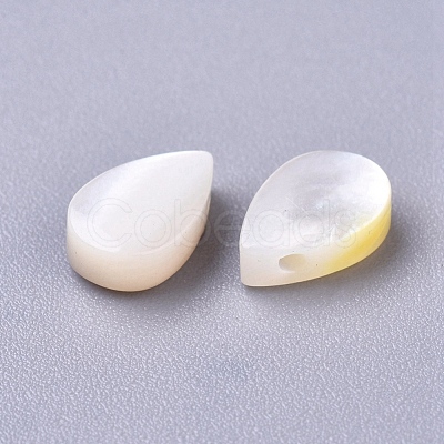 Natural Sea Shell Beads X-SSHEL-R038-20-1