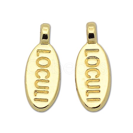 Nickel Free & Lead Free Golden Alloy Message Charms PALLOY-J219-072-NR-1