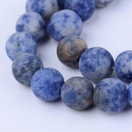 Natural Blue Spot Jasper Beads Strands G-Q462-6mm-06-1