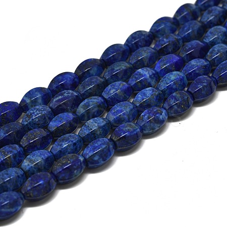 Natural Lapis Lazuli Beads Strands G-K311-09A-1