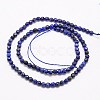 Natural Lapis Lazuli Beads Strands G-G545-18-2