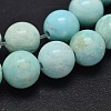 Natural Howlite Beads Strands TURQ-P027-17-10mm-1