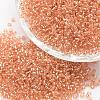 6/0 Transparent Glass Round Seed Beads X-SEED-J010-F6-L36-1