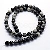 Natural Black Silk Stone/Netstone Beads Strands G-I199-11-8mm-2