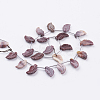 Natural Mookaite Beads Strands G-P340-29-20x11mm-2