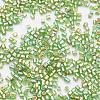 11/0 Two Cut Round Hole Glass Seed Beads SEED-G006-2mm-649-3