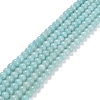 Grade A Natural Amazonite Beads Strands G-C046-01C-1