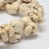 Dyed Nuggets Natural Howlite Beads Strands G-M139-M-A-2