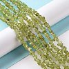 Natural Peridot Beads Strands G-P332-48-01-4