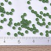 MIYUKI Round Rocailles Beads X-SEED-G007-RR0411F-4