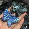 Dyed Natural Labradorite Carved Display Decorations PW-WG38302-02-1