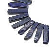 Natural Lapis Lazuli Beads Strands G-R419-12-1