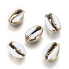 Electroplated Cowrie Shell Beads BSHE-G019-01G-B-1