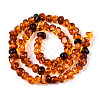 Natural Amber Beads Strands G-T138-235C-2