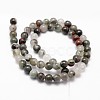 Natural African Bloodstone Beads Strands G-G735-32-10mm-2