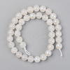 Electroplated Natural White Moonstone Beads Strands G-S369-012D-C-2