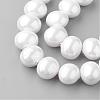 Shell Pearl Beads Strands PEAR-R064-75-1