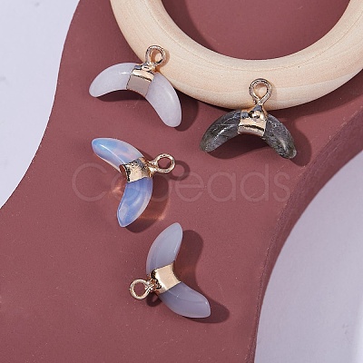 4Pcs 4 Style Mixed Gemstone Pendants G-SZ0001-42-1