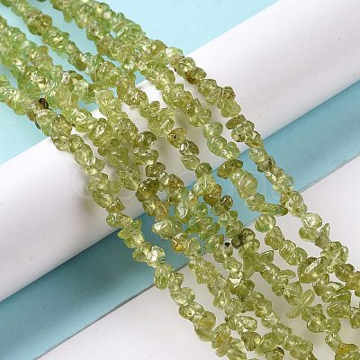 Natural Peridot Beads Strands G-P332-48-01-1