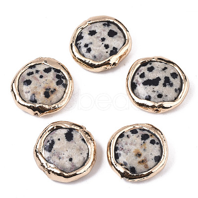 Natural Dalmatian Jasper Beads X-G-S359-112-1