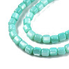 Natural Freshwater Shell Beads Strands X-SHEL-N003-33-A04-3