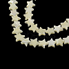 Star Shape Natural Sea Shell Beads Strands X-SSHEL-F290-18A-1