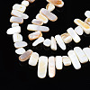 Natural Trochid Shell/Trochus Shell Beads Strands SHEL-S258-082-A01-3