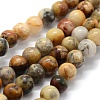 Natural Crazy Lace Agate Beads Strands G-G763-10-6mm-1